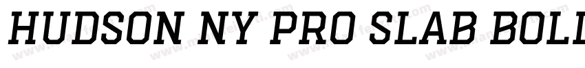 Hudson NY Pro Slab Bold字体转换